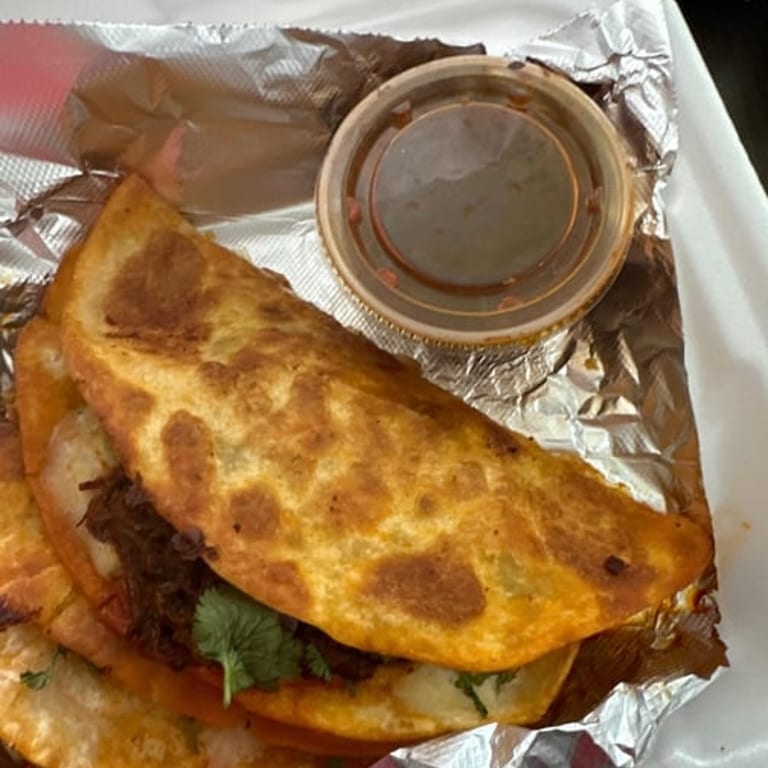 Delicious Quesabirria Awaits You